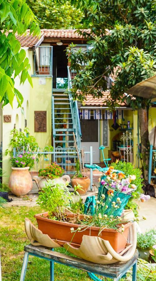 Villa Brush&Wind Hagoshrim Exterior foto